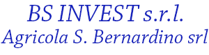 BS Invest Logo